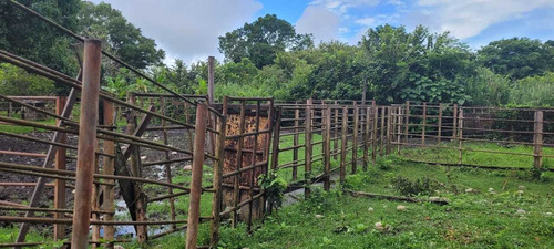 Imagen 3 de 6 de Finca En Los Obispos, Barinas A 30 Min. De Barinas