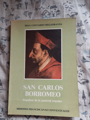 San Carlos Borromeo Fray Contardo Miglioranza Misiones 