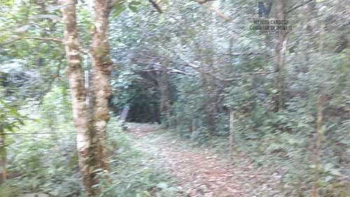 Chácara A Venda No Bairro Centro Em Itacaré - Ba. - 1205-1