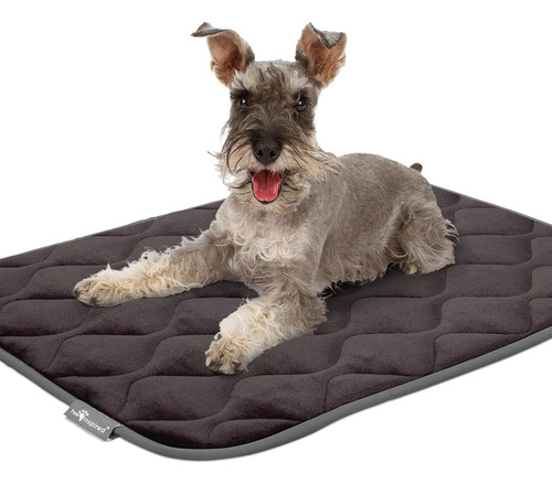 Alfombrillas Acolchadas Lavables Inspiradas En Paw Inspired