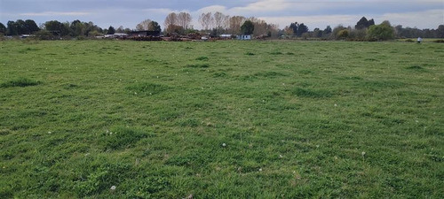 Imagen 8 de 11 de Se Vende Terreno Agrícola 1,5 Ha Quema Del Buey, Puyehue,