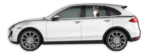 Adherible Cling Para Vetanas Gato Colorbok Automovil Calcoma