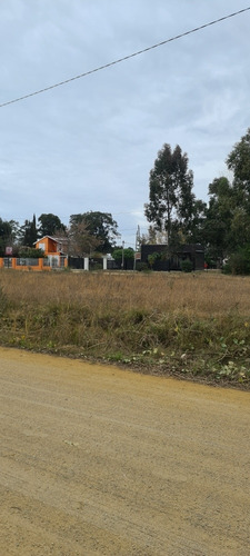 Imagen 5 de 8 de Terreno Muy Grande Y Nivelado, Ideal Vivienda Comercio. Sobre Calle Avenida Nogueira A Dos Cuadras De Ruta Interbalnearia Zona De Crecimiento Y Muy Tranquila.