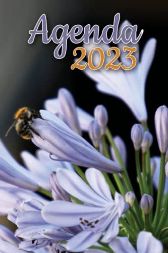 Agenda 2023: Agenda Semanal Abeja De Un Año Enero 2023 A Dic