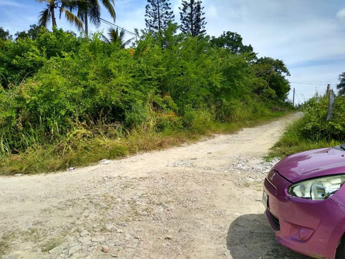 Venta Terreno 773 M² Col. El Naranjal Tuxpan Veracruz