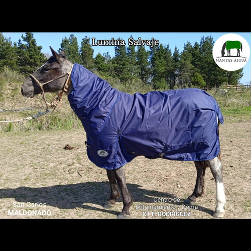 Manta Capa Caballo Importada (descuento Vta. Directa)