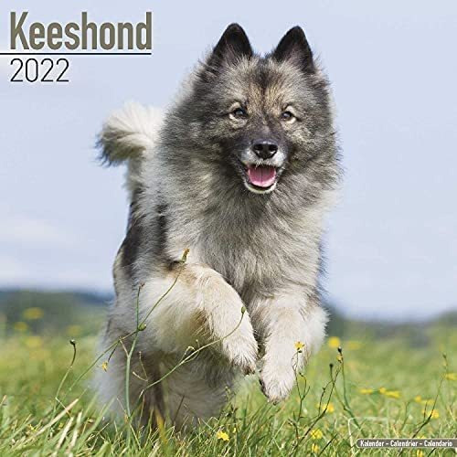 Libro: Calendario Keeshond Calendarios De Razas De Perros De