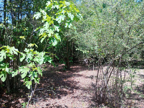 Terreno En San Javier Traslasierra.