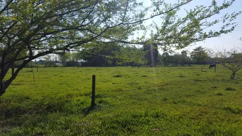 Lote En Venta En Vereda Rio Claro - Potrerito. Cod V7573
