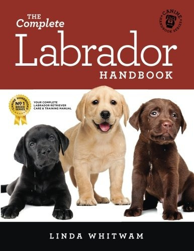 The Complete Labrador Handbook The Essential Guide For New  