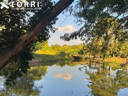 Belo Haras À Venda Em Porto Feliz - Ha00013 - 69329721