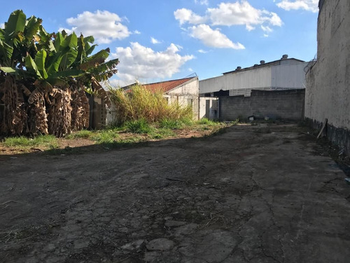 Imagem 6 de 8 de 197 -terreno No Bairro Do Butantã Para Venda 550m²