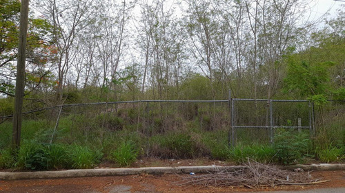 Terreno De 968 M2 En Santa Gertrudis Copo, Mérida.