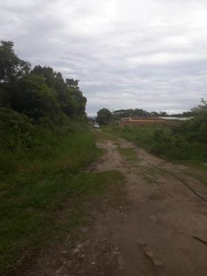 Imagem 3 de 4 de Terreno No Litoral Com 260 M², Em Itanhaém Ter032-pc