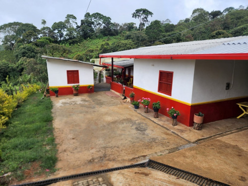 Imagen 10 de 20 de Venta De Finca Cafetera En Jericó Antioquia