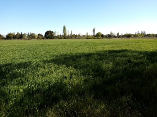 Parcela Sector Unión Cancha El Álamo/camino Las Mariposas