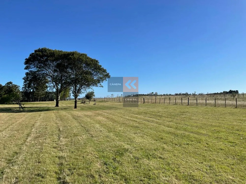 Campo De 95 Has. Ubicado A Tan Solo 15 De La Playa De José Ignacio Y A 40 De Punta Del Este