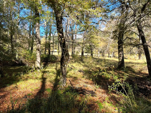 Parcela En La Precordillera Malalcahuello