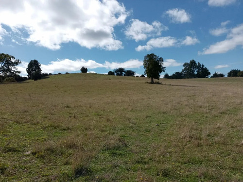 Maravillosa Parcela , Sector Cullinco Alto Carahue