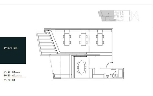 Imagen 7 de 30 de W - Ugarteche - Botanico