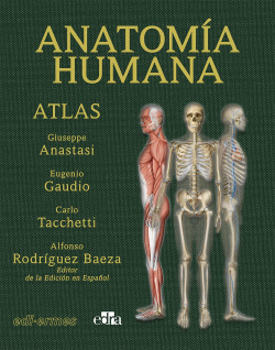 Libro Anatomía Humana Atlas 2 ª Ed De Edi-ermes