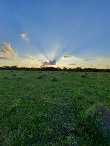 Imagen 27 de 30 de Campo Ganadero En Federal Entre Ríos