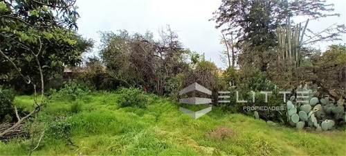 Imagen 23 de 28 de Sitio En Venta En Olmué