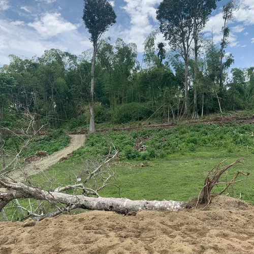 Vendo Lote De Finca En Calarcá