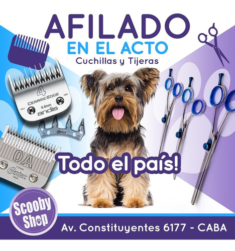 Imagen 3 de 6 de Cuchilla Oster Andis Whal Gts Laube Afilado En El Acto
