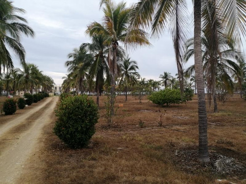 Imagen 1 de 3 de Terreno Comercial En Venta Los Mogotes Pie De La Cuesta