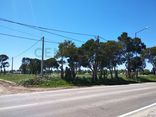 Imagen 7 de 8 de Lote En Venta En La Plata
