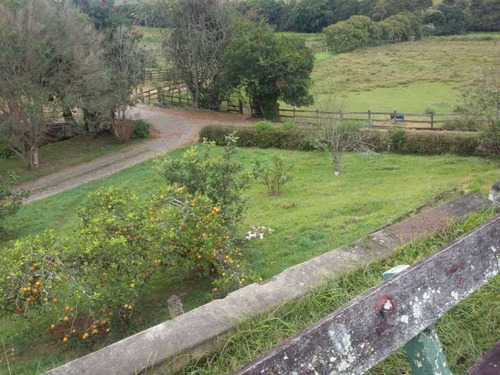 Imagem 25 de 29 de Fazenda De Gado Com 263 Hectares Itajuba - 36525