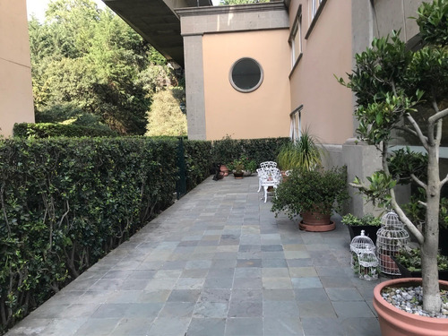 Imagen 8 de 30 de Excelente Garden House Lomas Country