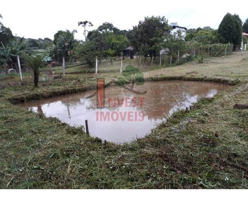 Imagem 5 de 13 de Terreno - Ref: 3271 - V-3271