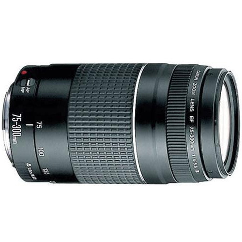 Imagen 1 de 1 de Lente Canon Ef 75-300mm Iii Aps-c Y Full Frame Compatible