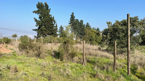 Terreno En Venta En Los Pinos De Reñaca