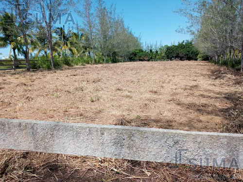 Terreno En Venta En Brecha Huasteca, Tampico Alto, Veracruz.