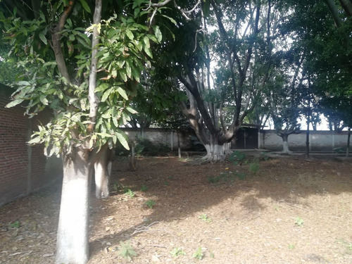 Imagen 18 de 18 de Terreno Sobre Libramiento, Yautepec/cuautla