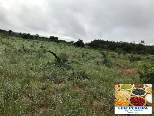 Imagem 8 de 15 de Fazenda À Venda Em Recursolândia - Ms - De 1.041 Alqueirões - 1648