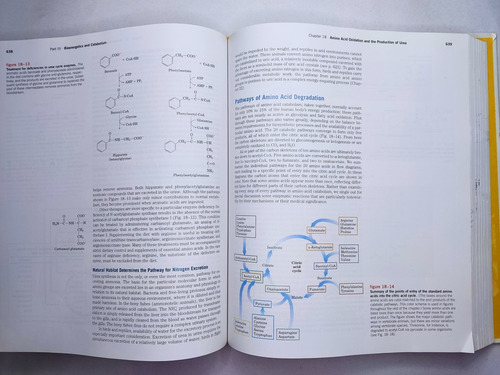 Libro Lehninger Principles Of Biochemistry 195k3 (Usado)