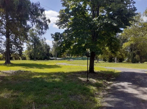 Imagen 5 de 7 de Terreno En Venta - 450mts2 Totales - Joaquín Gorina