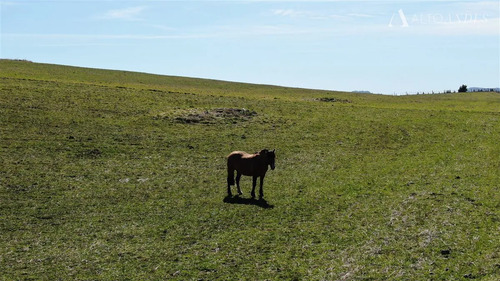 Sitio En Venta En Coihaique