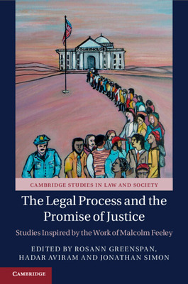 Libro The Legal Process And The Promise Of Justice: Studi...