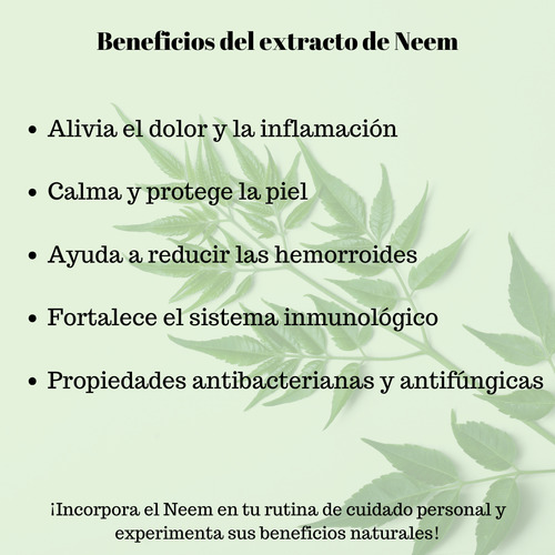Extracto Natural De La Planta De Neem 30ml 2 Piezas