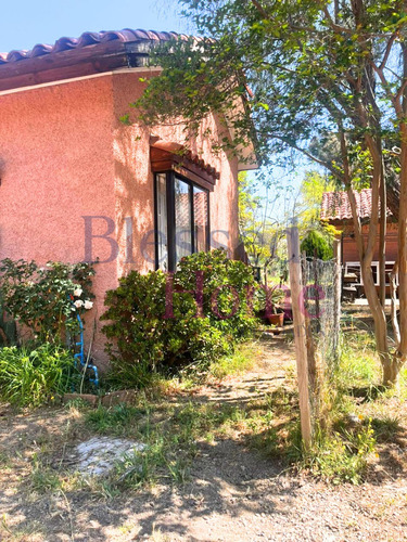 Terreno En Venta 6.550 M2 El Patagual, Villa Alemana