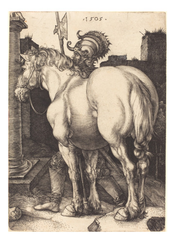 Albrecht Dürer - Caballo Grande - Animales - Lámina 45x30 Cm