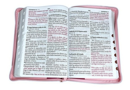 Imagen 2 de 4 de Biblia Reina Valera 1960 Super Gigante 19 Puntos Pjr Rosa