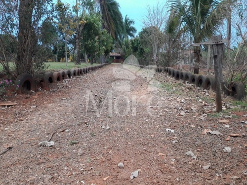 Imagem 5 de 30 de Chácara 11.000m² Em Engenheiro Coelho - Ch00014 - 33452159