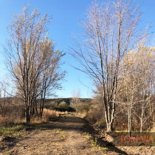 Imagen 1 de 5 de Terreno En Venta En San Luis