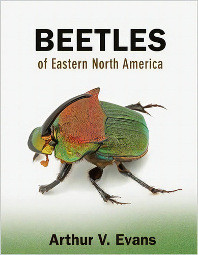 Beetles Of Eastern North America, De Arthur V. Evans. Editorial Princeton University Press, Tapa Blanda En Inglés, 2014